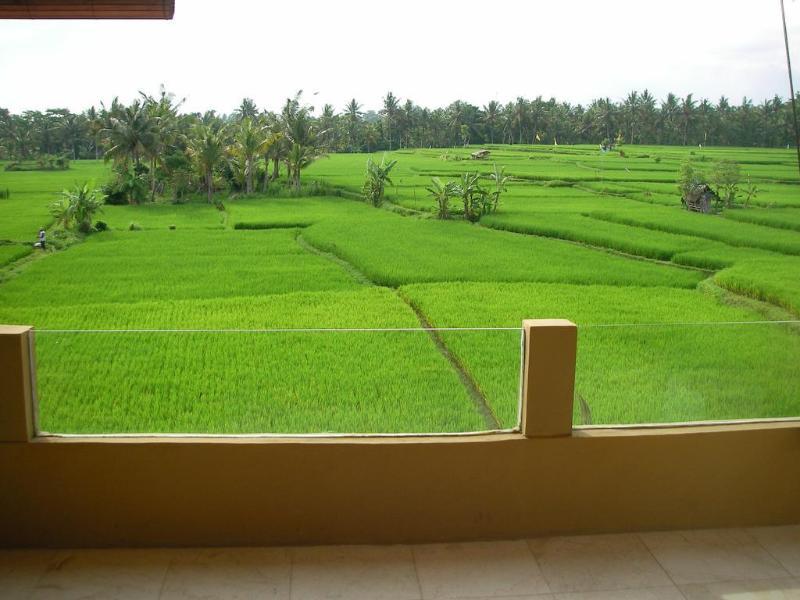Green Field Hotel And Bungalow Ubud Exteriér fotografie