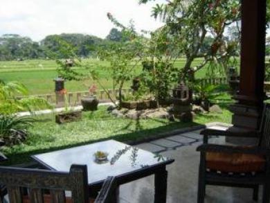 Green Field Hotel And Bungalow Ubud Exteriér fotografie